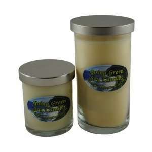 WMU Citrus Fresh Odor Eliminator Soy Candle   2 Pack 