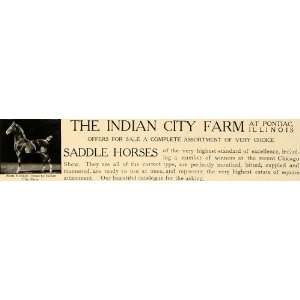  1906 Ad Saddle Horses Indian City Farm Pontiac Illinois 