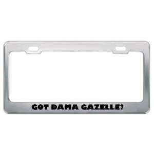 Got Dama Gazelle? Animals Pets Metal License Plate Frame Holder Border 