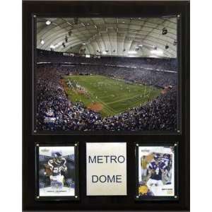  Minnesota Vikings Metrodome Stadium 12x15 Plaque Sports 
