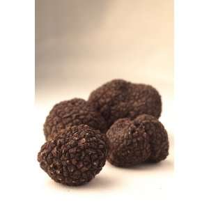 Premium Fresh Black Italian Summer Truffles (8 ounce)  