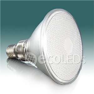  EcoLED 165 LED Bulb (PAR 38)