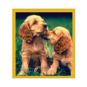  Magnetic Bookmark Cocker Spaniel Puppies, Beautiful and 