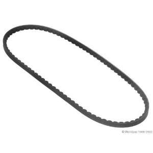  Conti W1002 33119   V Belt Automotive