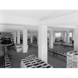  Bottles in Cases on a Conveyer Belt at the Peroni Factory 