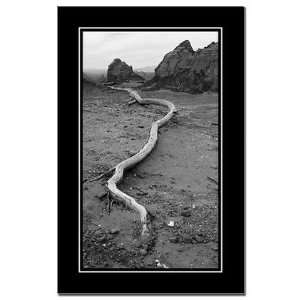  Root BW Nature Mini Poster Print by  Patio, Lawn 