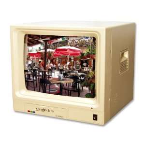 Security Labs 14 Inch Color Monitor
