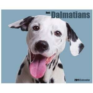 Just Dalmatians 2011 Wall Calendar By Willow Creek [Size 10.5  X 13 