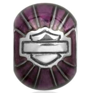  Sterling Silver Purple Enamel Round Bar & Shield Ride Bead. HDD0046