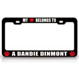 MY HEART BELONGS TO A DANDIE DINMONT Dog Pet Steel Metal Auto License 