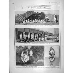   1906 ALGERIA CAMP CAMEL SPAHI MARABOUT RUSSIA DYNAMITE