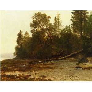 FRAMED oil paintings   Albert Bierstadt   24 x 18 inches   The Fallen 