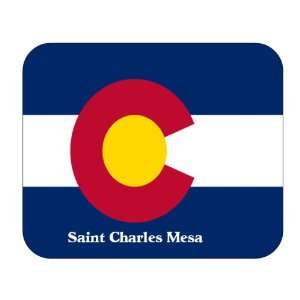  US State Flag   Saint Charles Mesa, Colorado (CO) Mouse 