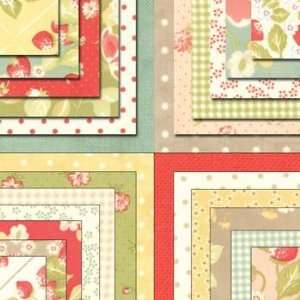  Strawberry Fields Charm Pack Arts, Crafts & Sewing
