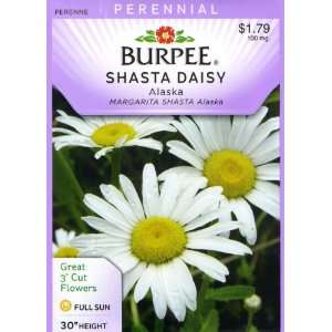  Burpee 46187 Daisy Shasta, Alaska Seed Packet Patio, Lawn 