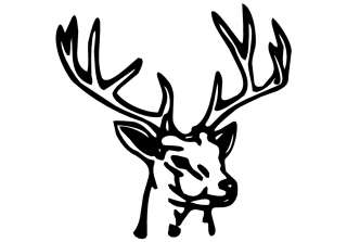 Deer Buck Head Decal Sticker Truck Home Window Graphic  