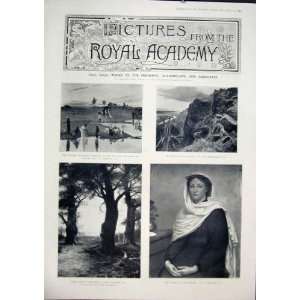  Royal Academy Pictures Fine Art 1902 Artists Print