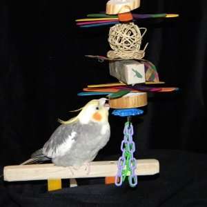 Bird Toy Shredville for Cockatiel to African Grey Size Birds  