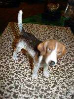Genuine Vienna Bronze Depicting a Very Cute Beagle  