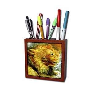   Designs   Majestic Lion   Lion Art   Tile Pen Holders 5 inch tile pen