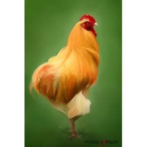  Digital Rooster Painting 