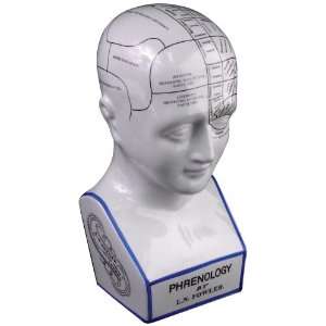  Ceramic Phrenology Head