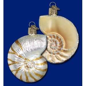  Old World Christmas Nautilus Shell Ornament