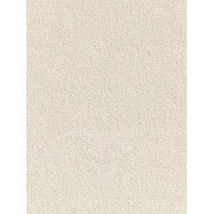   Sch 64921 Palermo Mohair Velvet   Tusk Fabric Arts, Crafts & Sewing