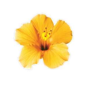  Tropical Flower Luau Cutouts   Photographic Health 