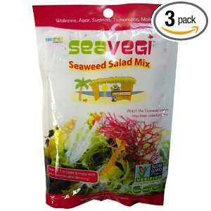 Seasnax / Naturesnax Seawd Snak, Veg Salad Mix, 0.90 Ounce (Pack of 3)