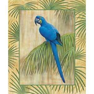 Ron Jenkins   Hyacinth Macaw Canvas 