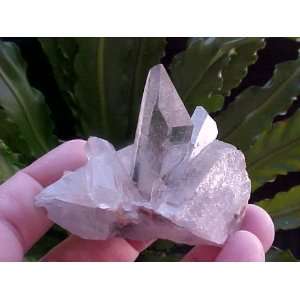   Gemqz Clear Quartz Cluster with Chlorite Inclusions 