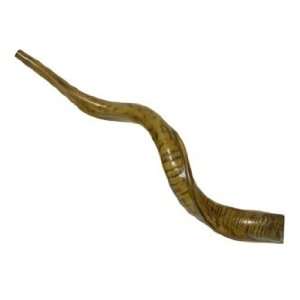  Synthetic Shofar Musical Instruments