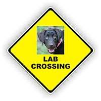 LABRADOR NOVELTY CROSSING SIGN 16 X16 INCH DOG LAB  