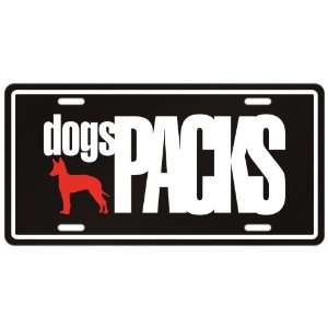    Manchester Terrier Dogs Packs  License Plate Dog