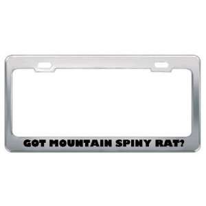 Got Mountain Spiny Rat? Animals Pets Metal License Plate Frame Holder 