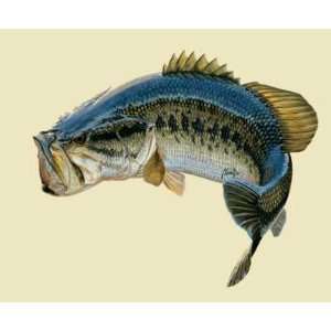  Perfect Images Largemouth Bass Decal