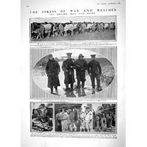  1914 WAR HORSE FRANCE SHIPS CORSAIR SYDNEY BADGES EPSOM 
