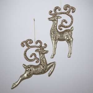 Club Pack of 12 Seasons of Elegance Gold Reindeer Christmas Ornaments 