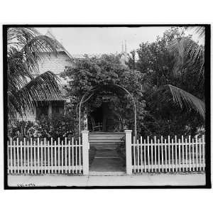  A West Palm Beach cottage,W. Palm Beach,Fla.