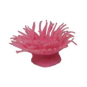 Anemone Coral Pink   size 5 x 5 x 3   MICOR300PP  Kitchen 