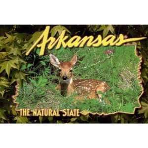  Arkansas Postcard 12125 Deer Case Pack 750 Sports 