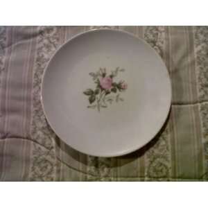    BEAUTIFUL *****COLLECTORS PLATE *****OLD 