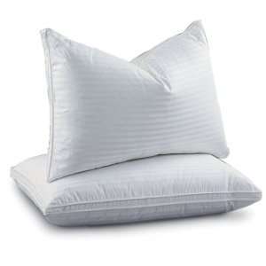  2 Premium Euro Goose Feather / Down Pillows with BONUS 