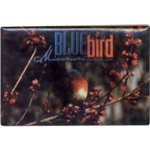   382181   Missouri Magnet P/C Bluebird Case Pack 96