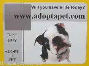 Dont buy Adopt a Pet Car Magnets Help rescue dogs and cats  