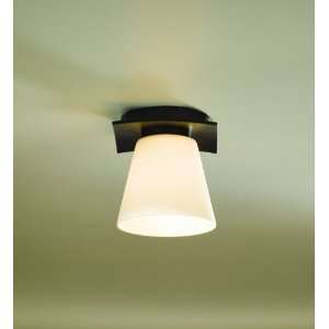   Fluorescent 1 Light Flushmount Ceiling Fixture from the Wr Home