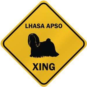    ONLY  LHASA APSO XING  CROSSING SIGN DOG