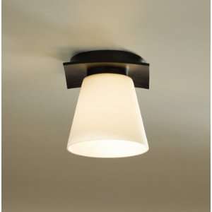   Flushmount Ceiling Fixture from the Wren Collection