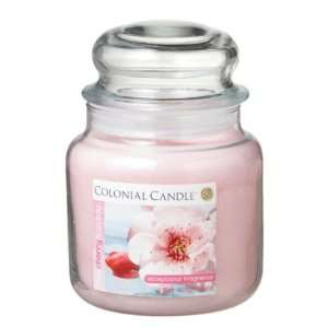  Pack of 4 Pink Cherry Blossom Aromatic Jar Candles 15oz 